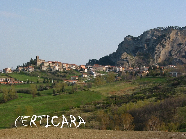 0047 perticara .jpg